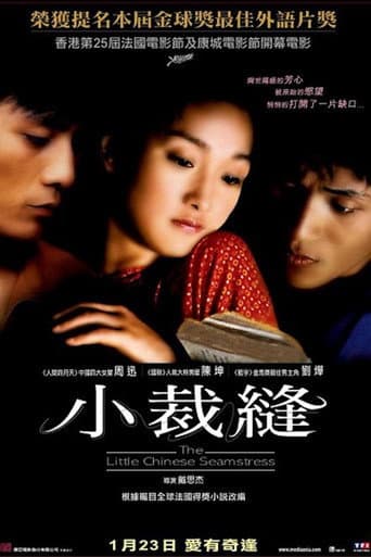 Affiche du film 巴尔扎克与小裁缝 (2002)
