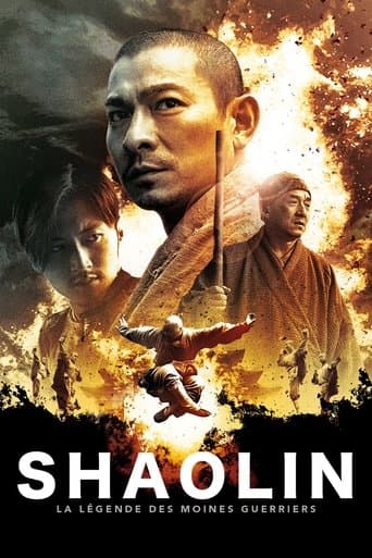 Affiche du film 新少林寺 (2011)