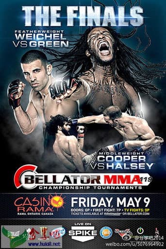 ملصق فيلم Bellator 119 (2014)