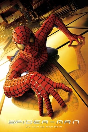 Affiche du film Spider-Man (2002)