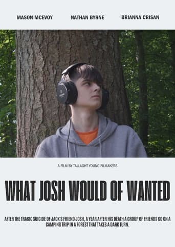 What Josh Would Of Wanted (2025) movie poster