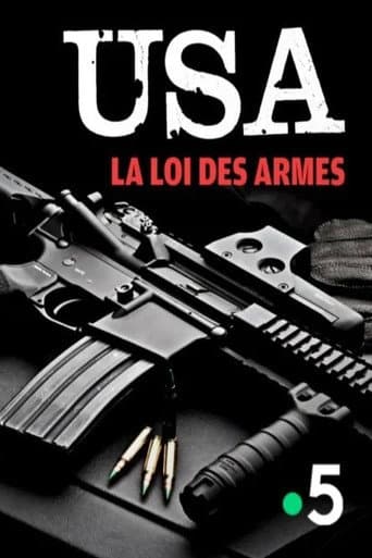 USA, la loi des armes (2019) movie poster