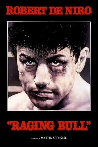 Affiche du film Raging Bull (1980)