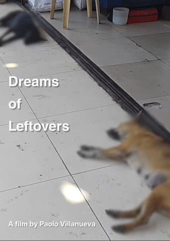 Affiche du film Dreams of Leftovers