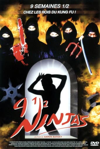Affiche du film 9 1/2 Ninjas! (1991)