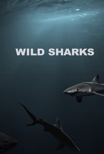 ملصق فيلم Wild Sharks (2013)