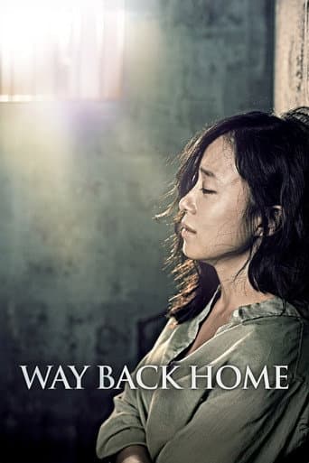 집으로 가는 길 (2013) movie poster