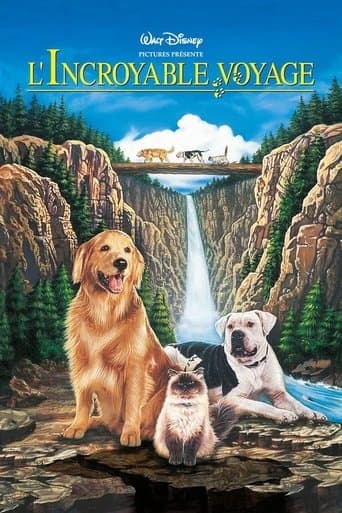 Affiche du film Homeward Bound: The Incredible Journey (1993)