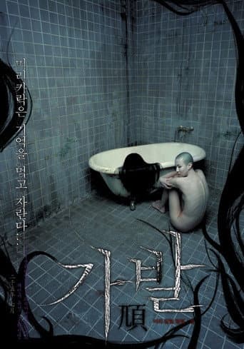 Affiche du film 가발 (2005)