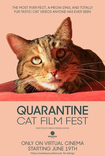 Quarantine Cat Film Festival (2020) movie poster