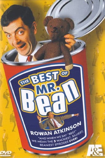 The Best of Mr. Bean (2006) movie poster