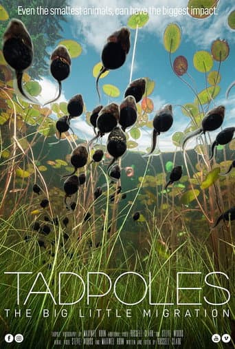 ملصق فيلم Tadpoles: The Big Little Migration (2020)