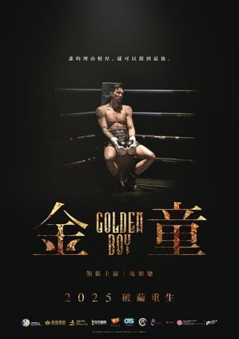 ملصق فيلم 金童 (2025)