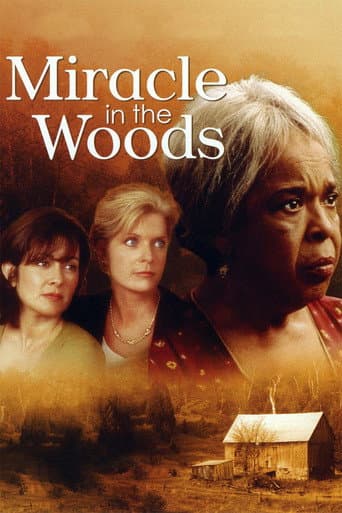 ملصق فيلم Miracle in the Woods (1997)