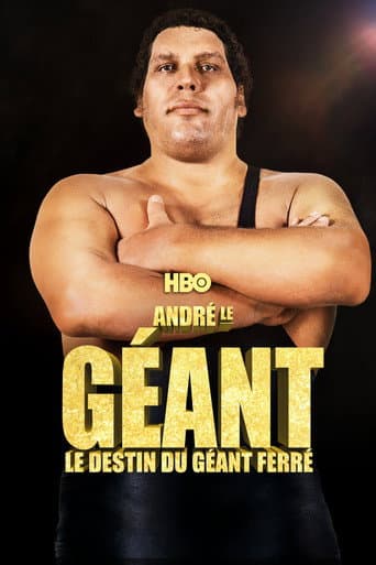 Affiche du film Andre the Giant (2018)