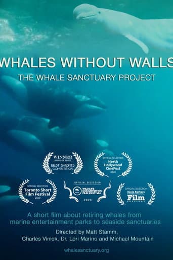 Affiche du film Whales Without Walls (2020)