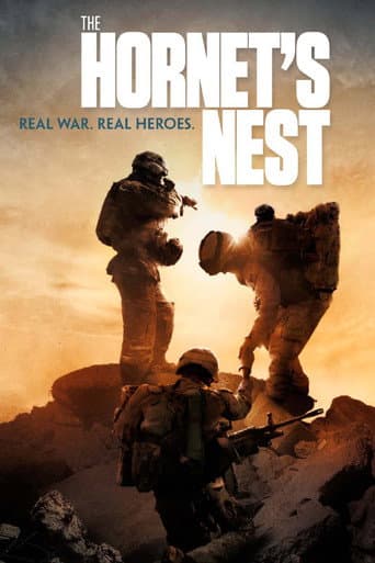 Affiche du film The Hornet's Nest (2014)