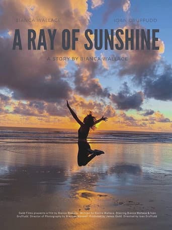 A Ray of Sunshine movie poster
