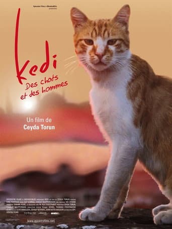 Affiche du film Kedi (2017)