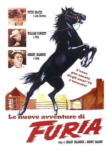 Affiche du film Fury (1955)