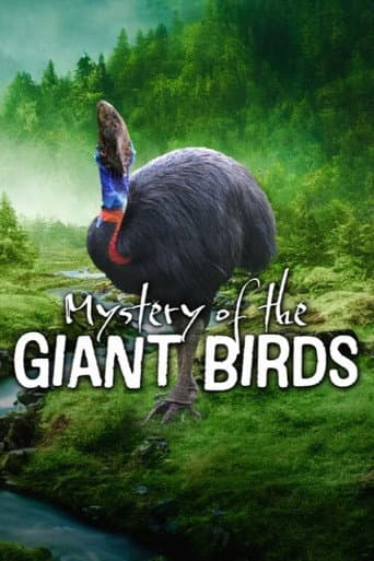Le mystère des oiseaux géants (2025) movie poster
