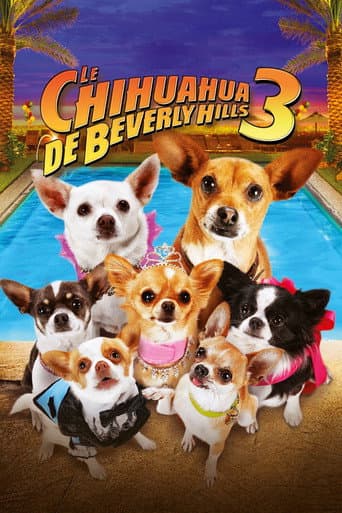 Affiche du film Beverly Hills Chihuahua 3: Viva la Fiesta! (2012)