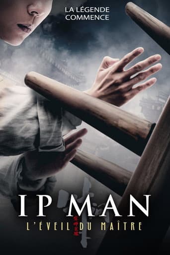 Affiche du film 叶问宗师觉醒 (2021)