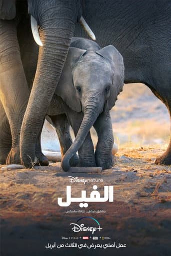 ملصق فيلم Elephant (2020)
