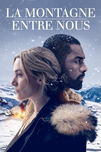 Affiche du film The Mountain Between Us (2017)