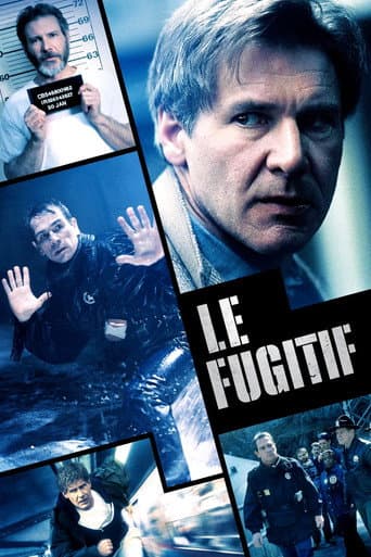 Affiche du film The Fugitive (1993)