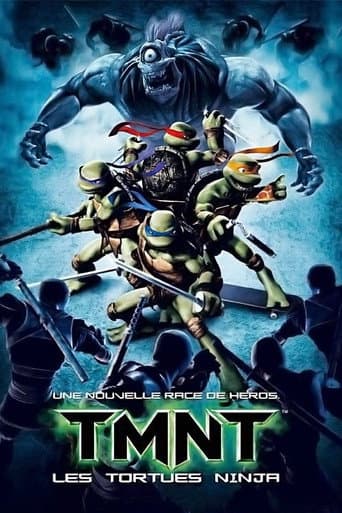 Affiche du film TMNT (2007)