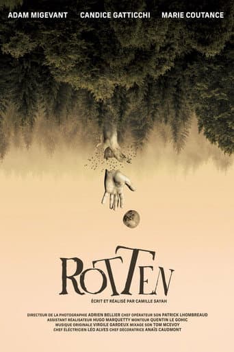Affiche du film Rotten