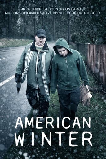 American Winter (2013) movie poster