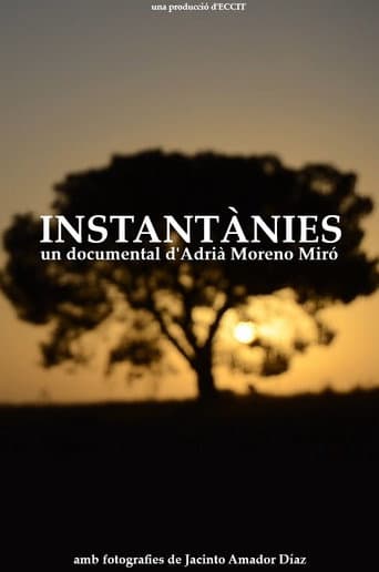 Affiche du film Instantànies (2025)