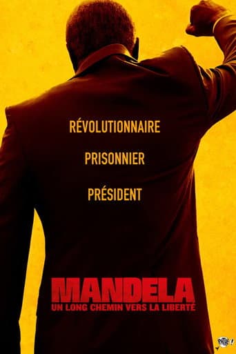 Affiche du film Mandela: Long Walk to Freedom (2013)