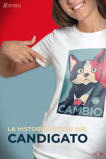 La historia detrás del candigato (2013) movie poster