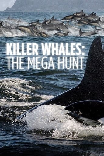 Killer Whales: the Mega Hunt (2016) movie poster