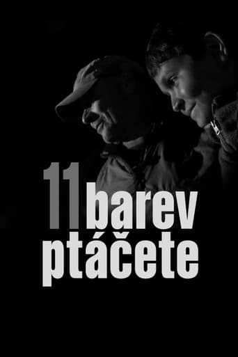 Affiche du film 11 barev ptáčete (2020)