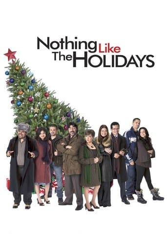 Affiche du film Nothing Like the Holidays (2008)