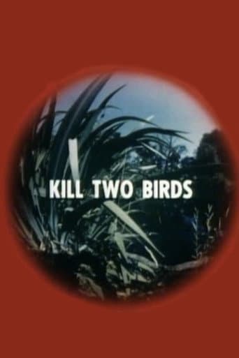 Affiche du film Kill Two Birds (1975)