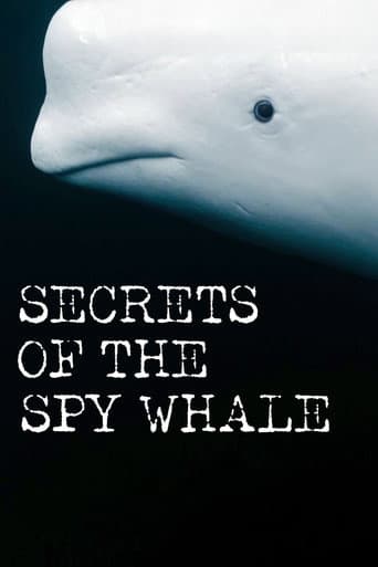 Affiche du film Secrets of the Spy Whale (2024)