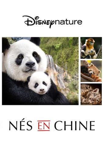 Affiche du film Born in China (2016)