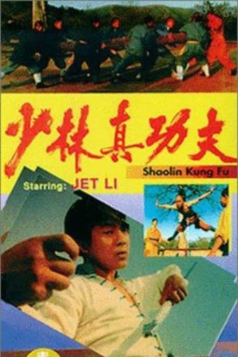 ملصق فيلم 少林真功夫 (1994)