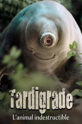 Affiche du film Tardigrade, l'animal indestructible (2025)