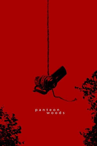 Affiche du film Panteon Woods (2015)