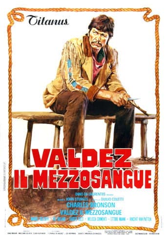 ملصق فيلم Valdez, il mezzosangue (1973)