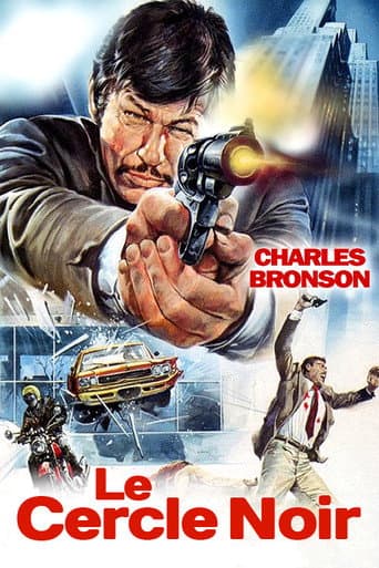 Affiche du film The Stone Killer (1973)