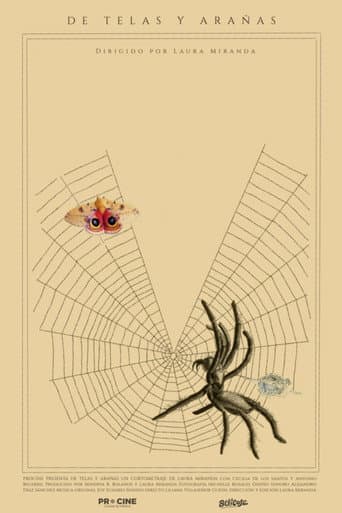 De telas y arañas movie poster
