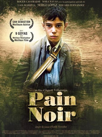 Affiche du film Pa Negre (2010)