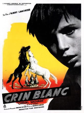 Affiche du film Crin Blanc : Le Cheval sauvage (1953)
